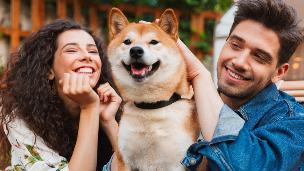 Beyond the Novelty: Why 2026 Is the Year Custom Pet Portraits Become Heirlooms