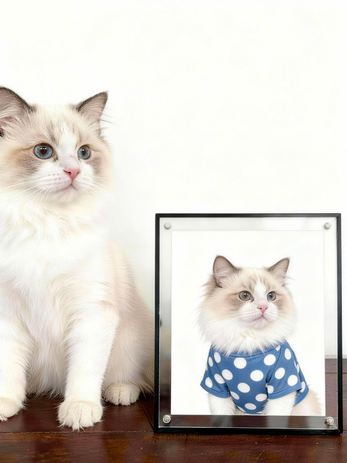 Modern Simplicity Style Pet Portrait